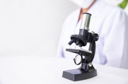 �����񍐎ʐ^